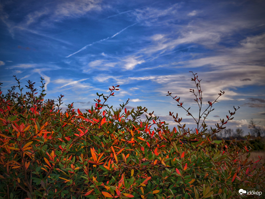 Színek a front előtt