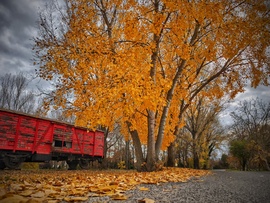 Tűzoltókocsi az ősz ölelésében