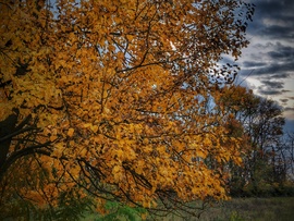 Borús naplementét hozott az érkező front