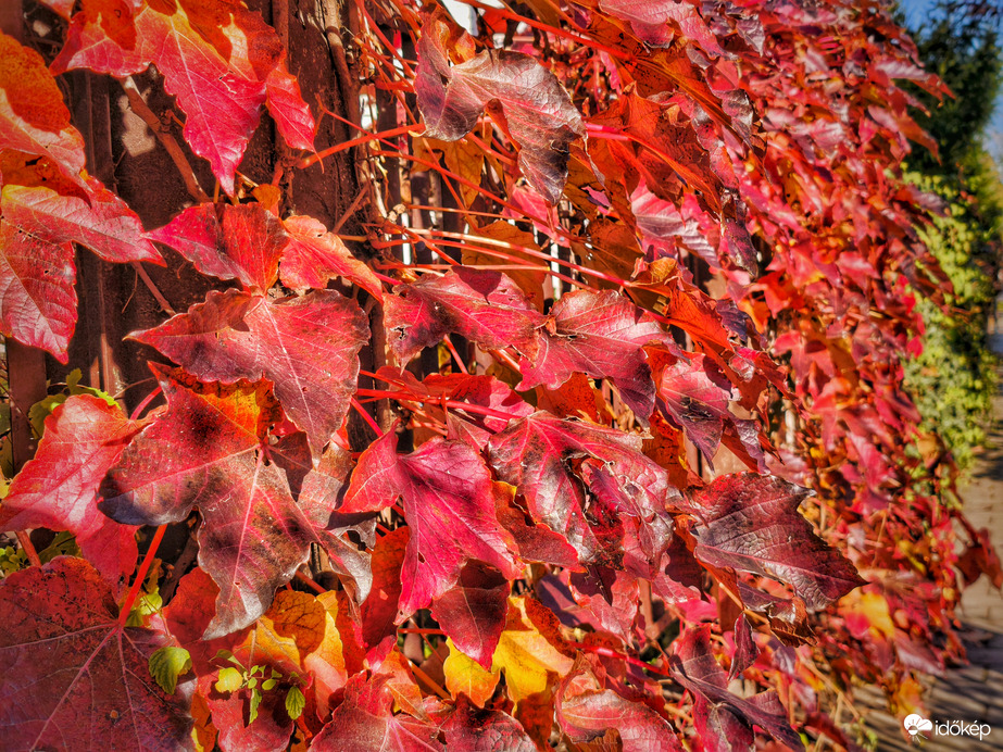 Novemberi tűzvarázs kibontakozása