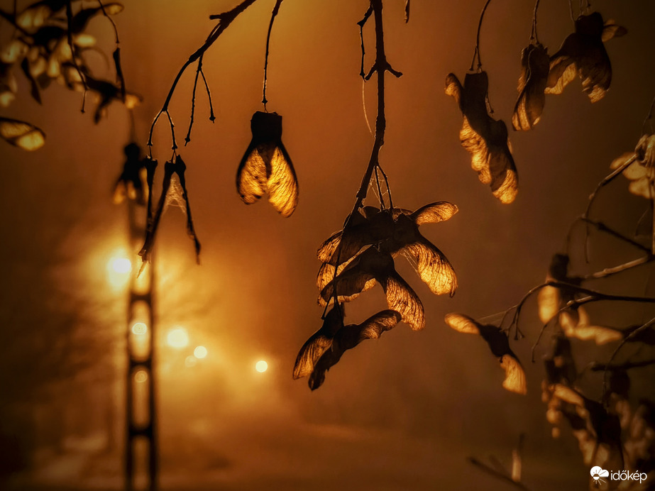 Ködös novemberi este