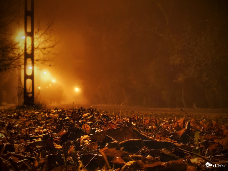 Hamisítatlan novemberi este