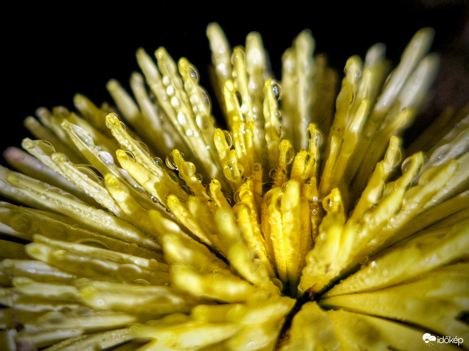 Ködszitálás kincsei