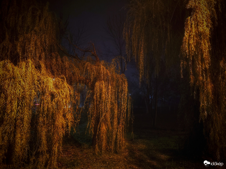 Ragaszkodó, makacs novemberi ködben továbbra is