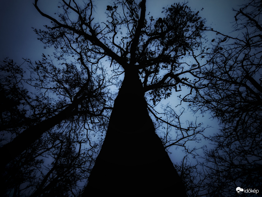 A mai nap sem sikerült a szürkeségnek felszakadni