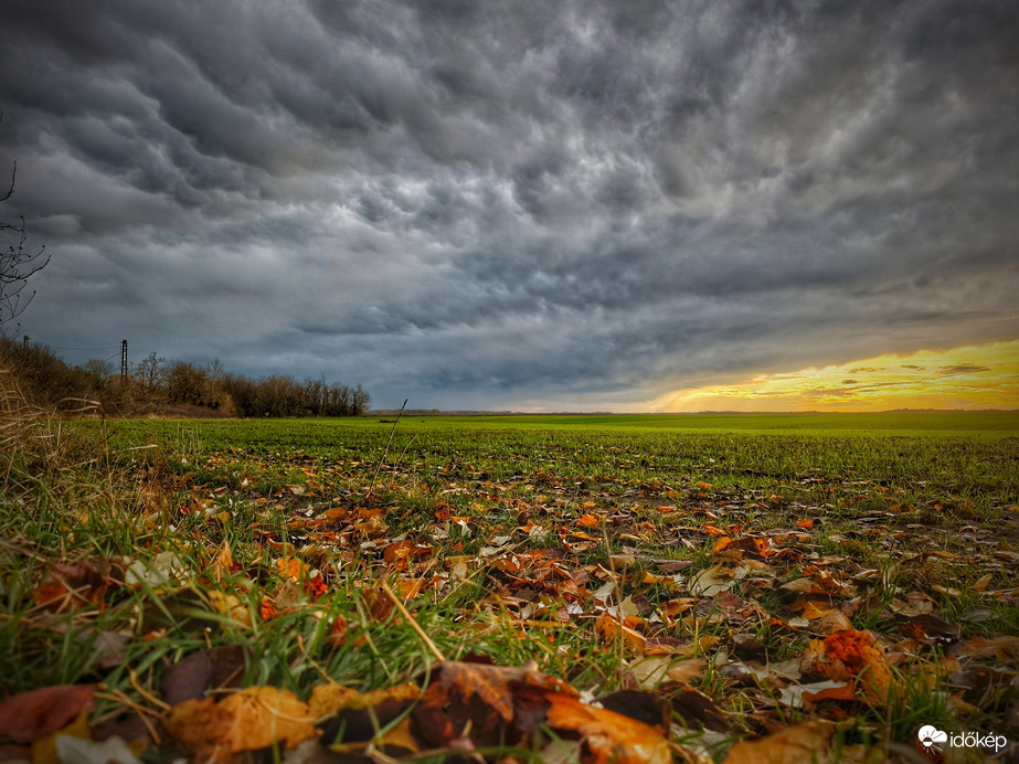 Novemberi mammás műsor kezdetén