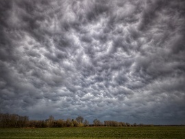 Mammák varázsa november közepe táján