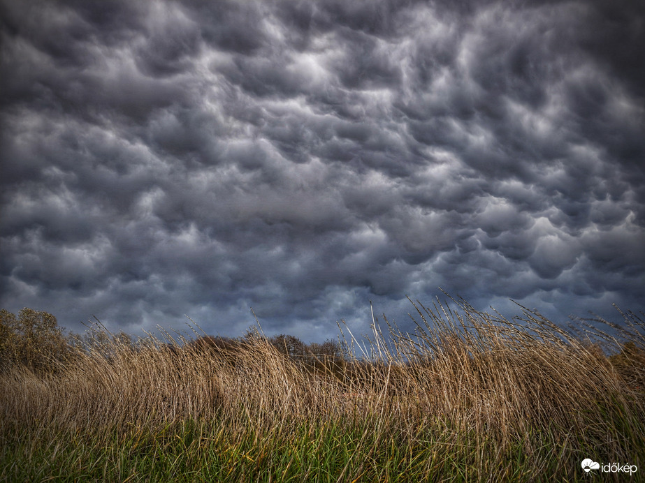 Mammák a szélvészben