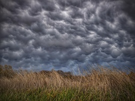 Mammák a szélvészben