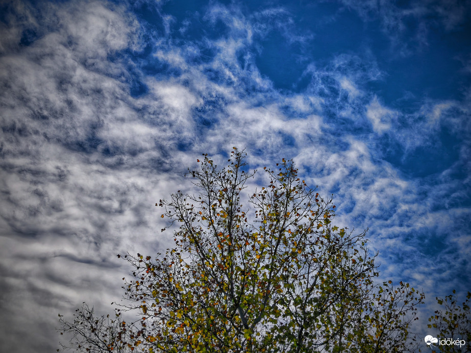 Erősen fogyatkozó levelek felhők varázsával