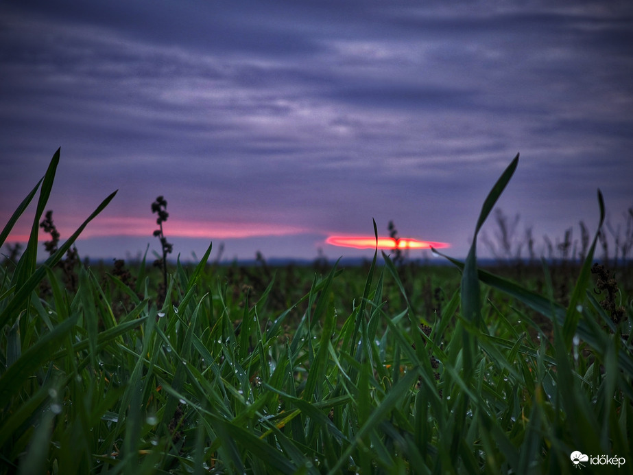Rés a naplementi borúban