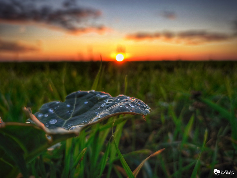 Naplemente az eső után
