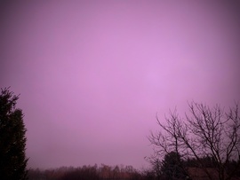 Mai lila jelenés naplemente után