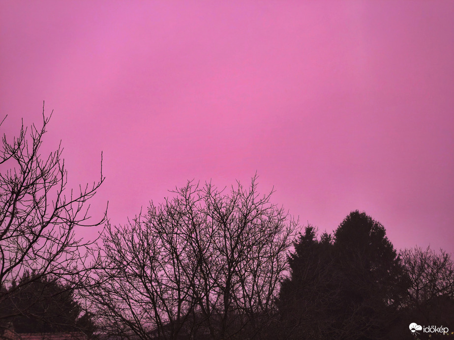 Alkonyat rózsaszín inkognitóban