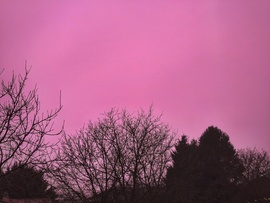 Alkonyat rózsaszín inkognitóban