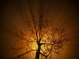 Leszállt a decemberi köd