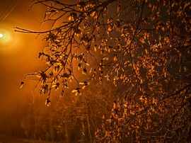 Ködös lámpafényben fürdik az este