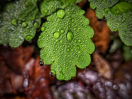 Gyöngyfalva madártávlatból