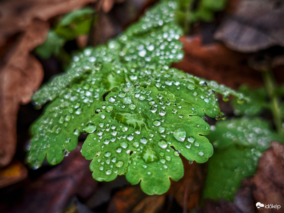 Továbbra is csak a ködszitálás kincsei hoznak egy kis változatosságot