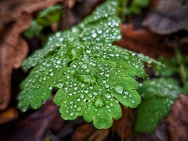Továbbra is csak a ködszitálás kincsei hoznak egy kis változatosságot