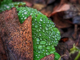 Színek a hidegpárna alatt