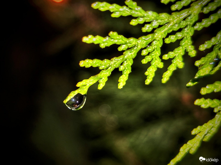 Futó záporok teszik csillogóvá az estét