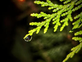 Futó záporok teszik csillogóvá az estét