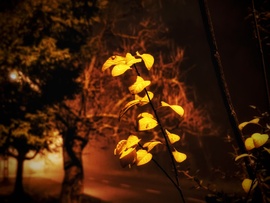 Újfent leszállt a köd közénk