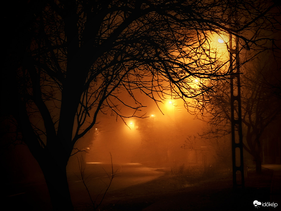 Decemberi ködös hangulatkép