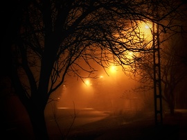 Decemberi ködös hangulatkép