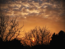 Életjelek mutatkoznak a nap felől