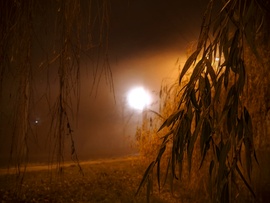 Ködösödő decemberi éjjel