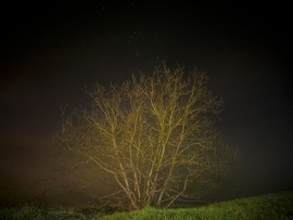 Decemberi nyílt köd éjjeli varázsa