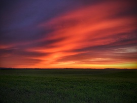 2025 búcsú színei