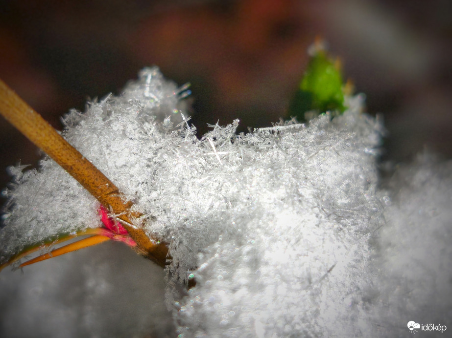 A fehérség közelebbről