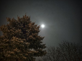 Holdfény a hóesésben