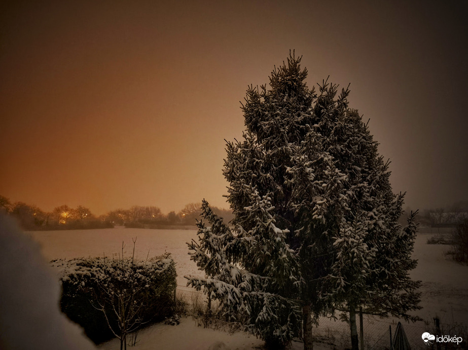 Januári álom valósággá vált