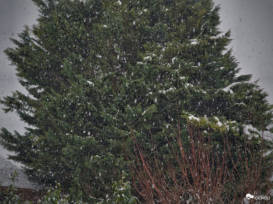 Rendesen rázendített