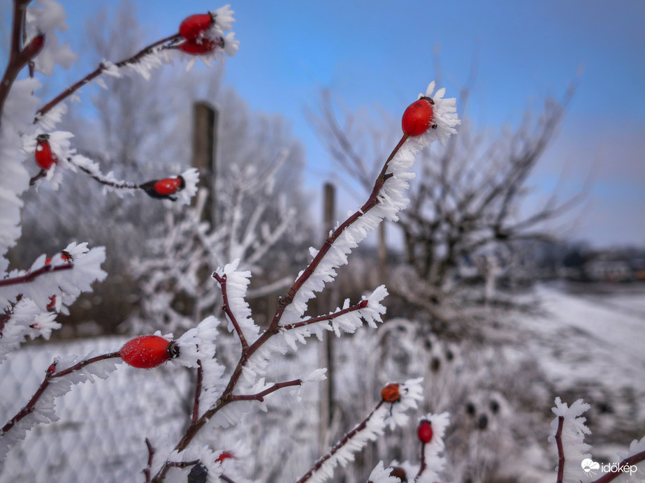 Igazán fagyos hangulatú kép