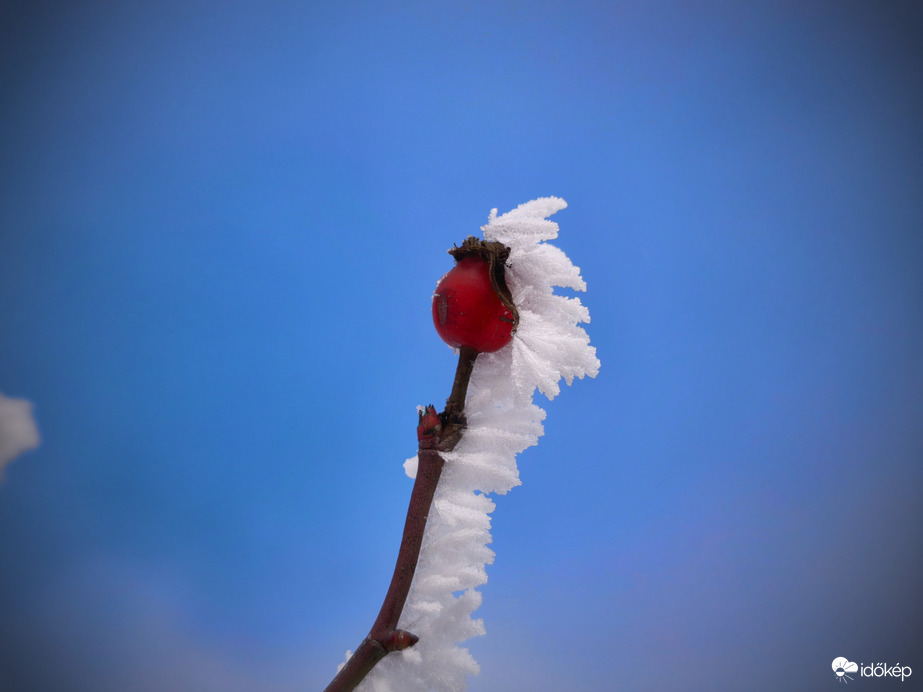 Piros és kék ellenállhatatlan látványa