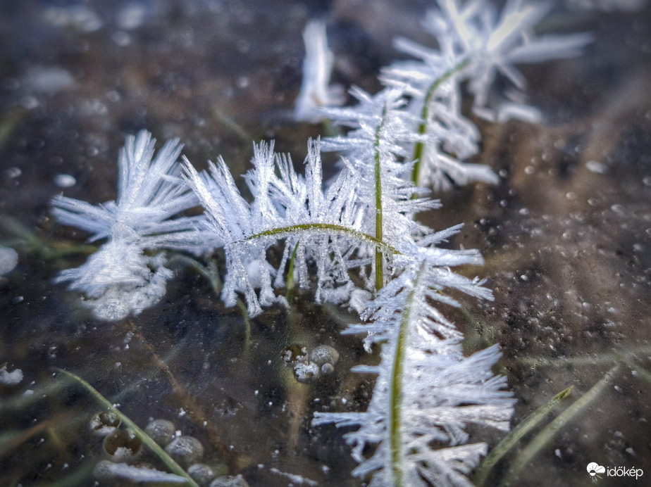 Álcázott jégvirágok