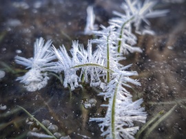 Álcázott jégvirágok