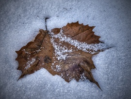 Évszakok találkozása