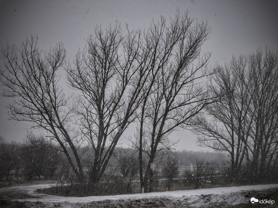 Erősödő havazás kezdetén