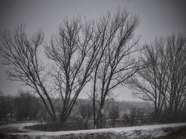 Erősödő havazás kezdetén