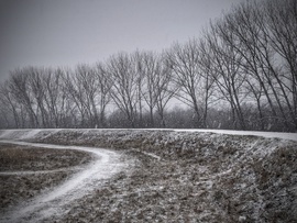 Gyorsan fehéredésnek kezdett a táj