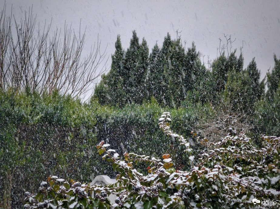 2-3 cm is benne van a pakliban