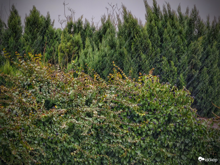 Hétfői záporos helyzet