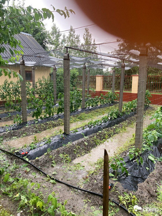 Csengerújfalu