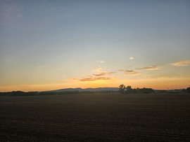 Sződ